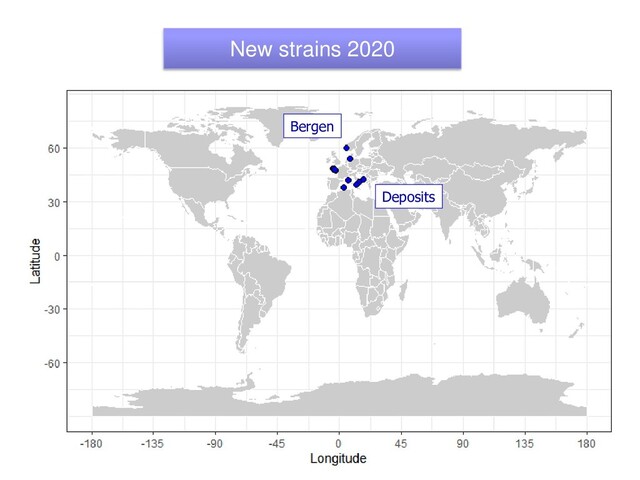 New strains 2020
Deposits
Bergen
