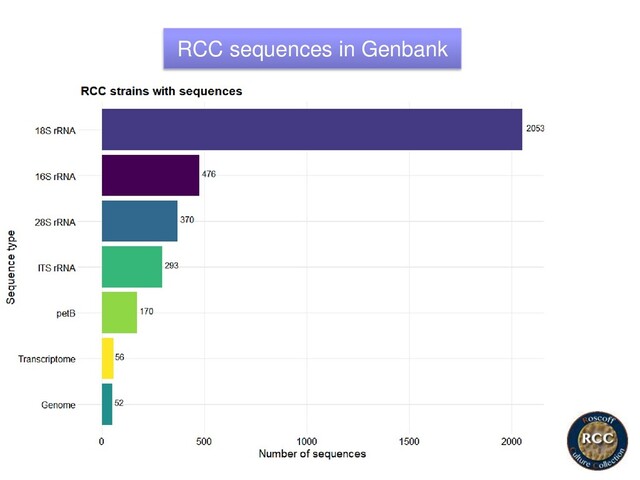 RCC sequences in Genbank
