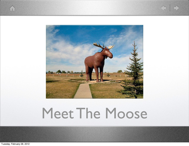 Meet The Moose
Tuesday, February 28, 2012
