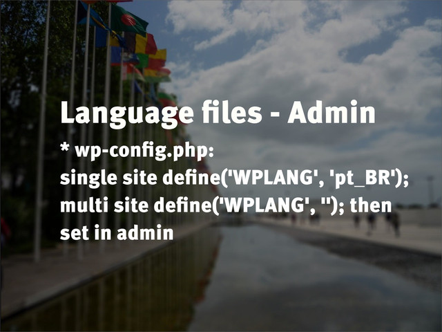 Language ﬁles - Admin
* wp-conﬁg.php:
single site deﬁne('WPLANG', 'pt_BR');
multi site deﬁne('WPLANG', ''); then
set in admin

