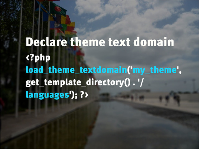 Declare theme text domain

