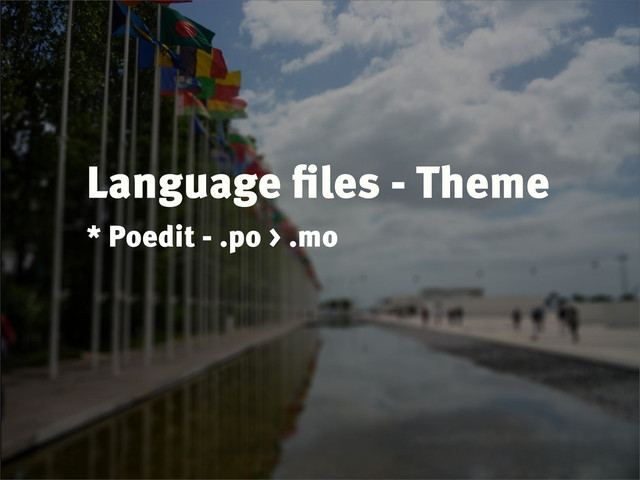 Language ﬁles - Theme
* Poedit - .po > .mo
