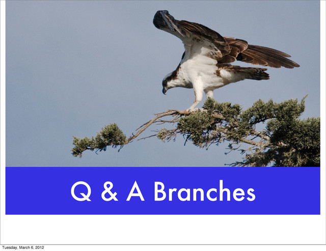 Q & A Branches
Tuesday, March 6, 2012
