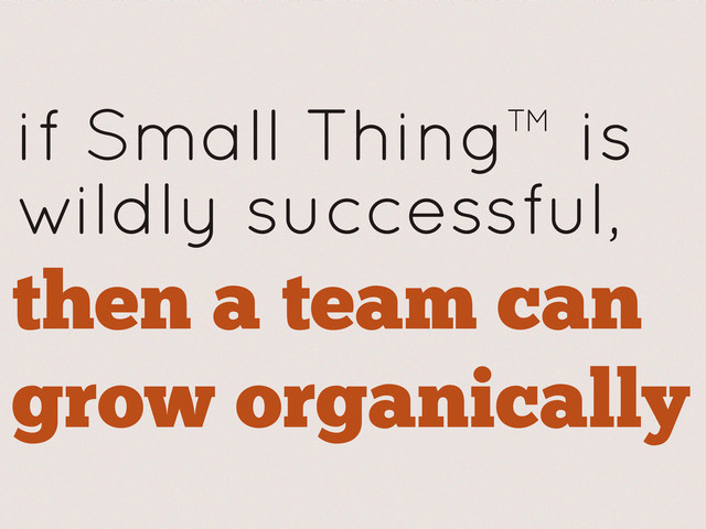 if Small Thing™ is
wildly successful,
then a team can
grow organically
