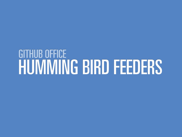 HUMMING BIRD FEEDERS
GITHUB OFFICE
