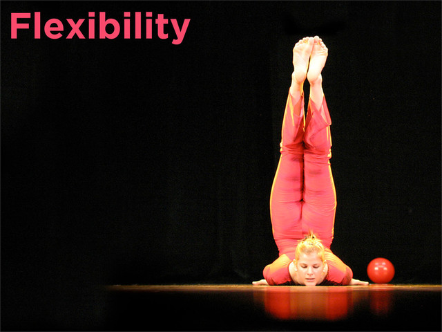 Flexibility

