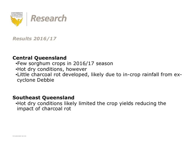 CRICOS: QLD00244B NSW02225M TEQSA: PRV12081
Central Queensland
•Few sorghum crops in 2016/17 season
•Hot dry conditions, however
•Little charcoal rot developed, likely due to in-crop rainfall from ex-
cyclone Debbie
Southeast Queensland
•Hot dry conditions likely limited the crop yields reducing the
impact of charcoal rot
Results 2016/17

