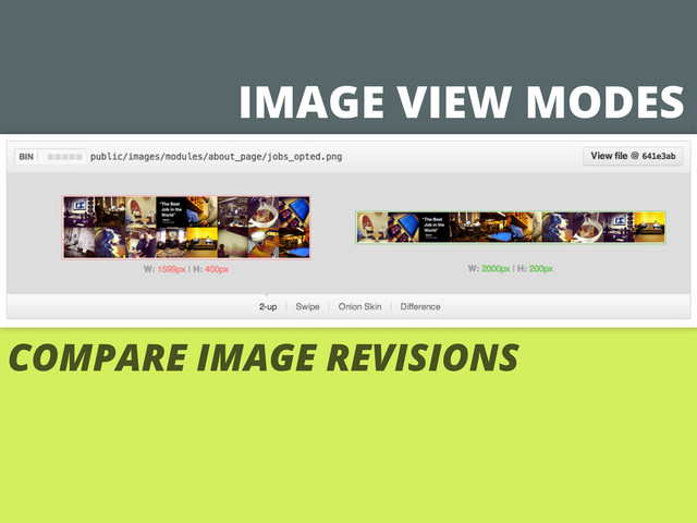 IMAGE VIEW MODES
COMPARE IMAGE REVISIONS
