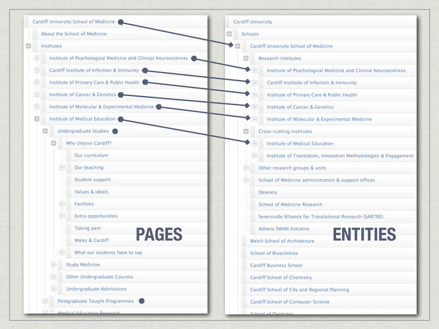 PAGES ENTITIES
