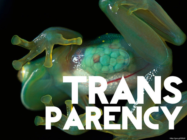 trans
parency
http://goo.gl/6XbXl
