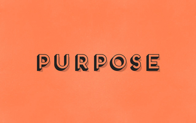 purpose
purpose
