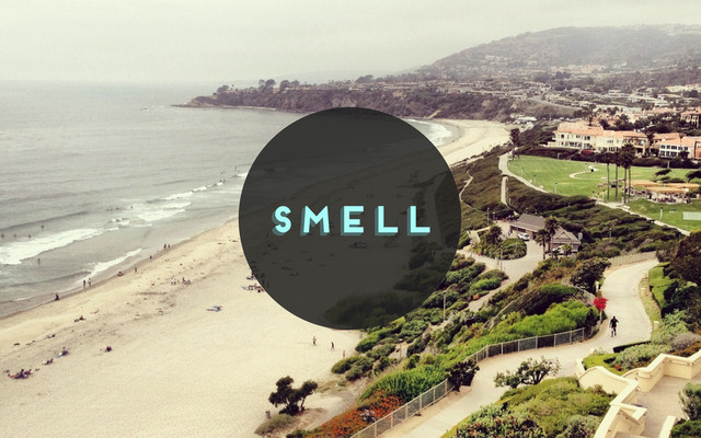 smell
smell
