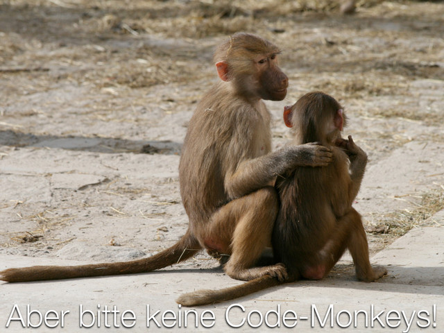 Aber bitte keine Code-Monkeys!
