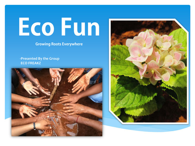 Eco Fun
Growing Roots Everywhere
-Presented By the Group
ECO FREAKZ
