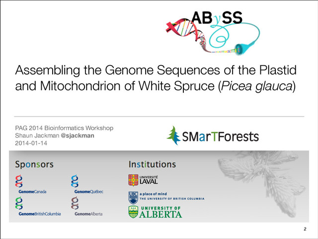 Assembling the Genome Sequences of the Plastid
and Mitochondrion of White Spruce (Picea glauca)
PAG 2014 Bioinformatics Workshop

Shaun Jackman @sjackman

2014-01-14
2
