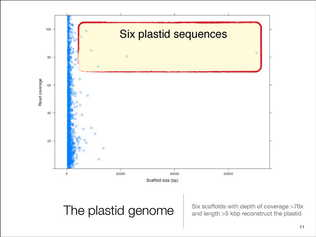 The plastid genome Six scaﬀolds with depth of coverage >70x
and length >5 kbp reconstruct the plastid
11
Six plastid sequences
