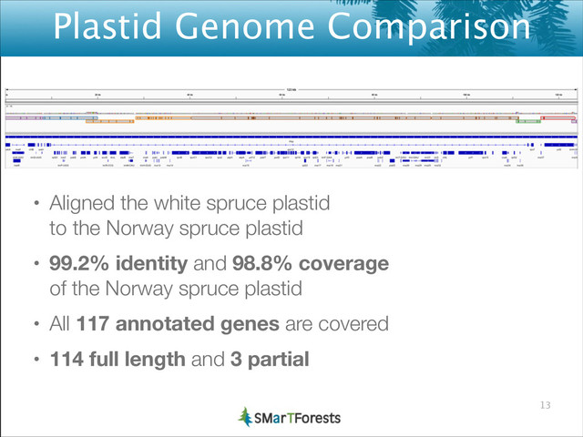 Plastid Genome Comparison
• Aligned the white spruce plastid 
to the Norway spruce plastid
• 99.2% identity and 98.8% coverage 
of the Norway spruce plastid
• All 117 annotated genes are covered
• 114 full length and 3 partial
13

