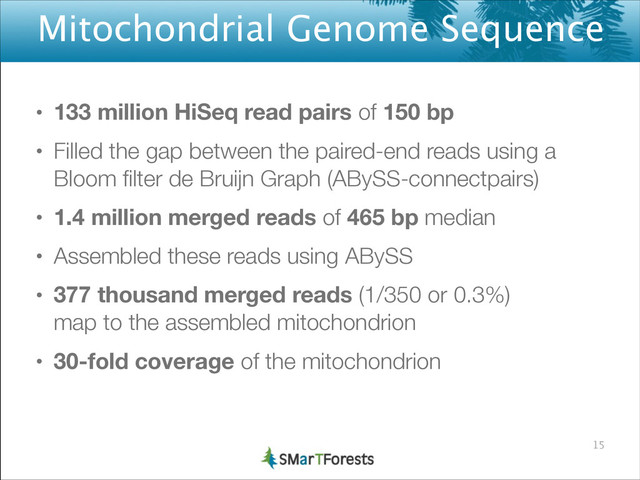 Mitochondrial Genome Sequence
• 133 million HiSeq read pairs of 150 bp
• Filled the gap between the paired-end reads using a
Bloom ﬁlter de Bruijn Graph (ABySS-connectpairs)
• 1.4 million merged reads of 465 bp median
• Assembled these reads using ABySS
• 377 thousand merged reads (1/350 or 0.3%) 
map to the assembled mitochondrion
• 30-fold coverage of the mitochondrion
15
