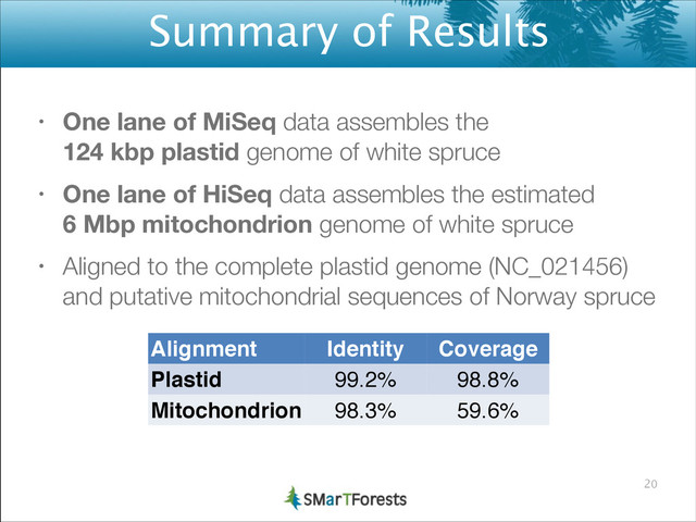 Summary of Results
• One lane of MiSeq data assembles the 
124 kbp plastid genome of white spruce
• One lane of HiSeq data assembles the estimated 
6 Mbp mitochondrion genome of white spruce
• Aligned to the complete plastid genome (NC_021456)
and putative mitochondrial sequences of Norway spruce
20
Alignment Identity! Coverage
Plastid 99.2% 98.8%
Mitochondrion 98.3% 59.6%
