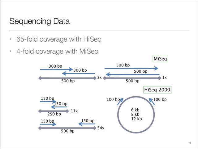 Sequencing Data
• 65-fold coverage with HiSeq
• 4-fold coverage with MiSeq
4
150 bp
150 bp
250 bp
11x
150 bp 150 bp
500 bp
54x
100 bp 100 bp
6 kb
8 kb
12 kb
HiSeq 2000
300 bp
300 bp
500 bp
3x
500 bp
500 bp
500 bp
1x
MiSeq
