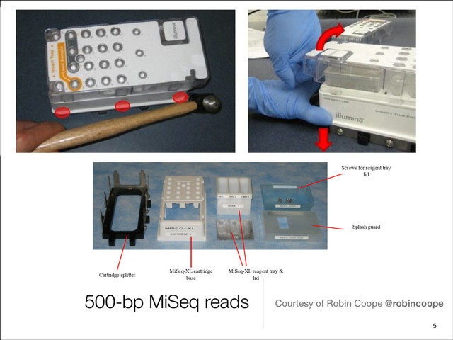 500-bp MiSeq reads Courtesy of Robin Coope @robincoope
5
Cartridge splitter
MiSeq-XL cartridge
base
MiSeq-XL reagent tray &
lid
Screws for reagent tray
lid
Splash guard

