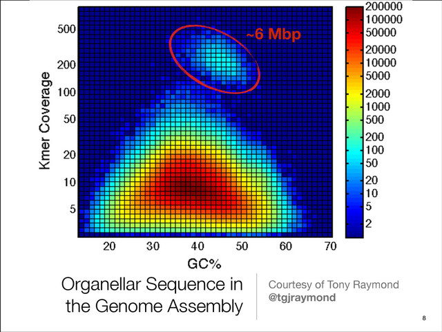 Organellar Sequence in
the Genome Assembly
Courtesy of Tony Raymond
@tgjraymond
8
~6 Mbp
