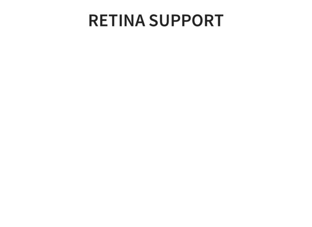RETINA SUPPORT
