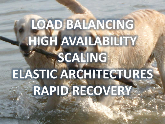 LOAD BALANCING
HIGH AVAILABILITY
SCALING
ELASTIC ARCHITECTURES
RAPID RECOVERY
