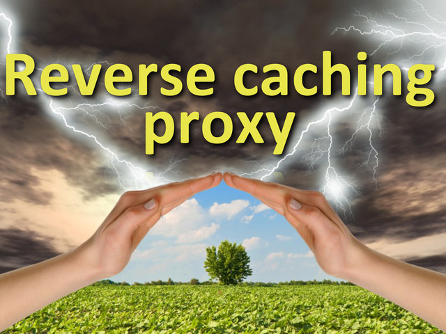 Reverse	  caching	  
proxy
