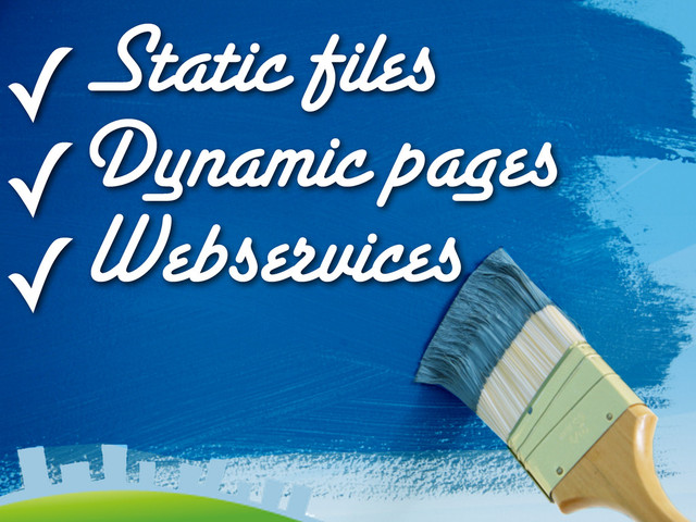 ✓Static files
✓Dynamic pages
✓Webservices
