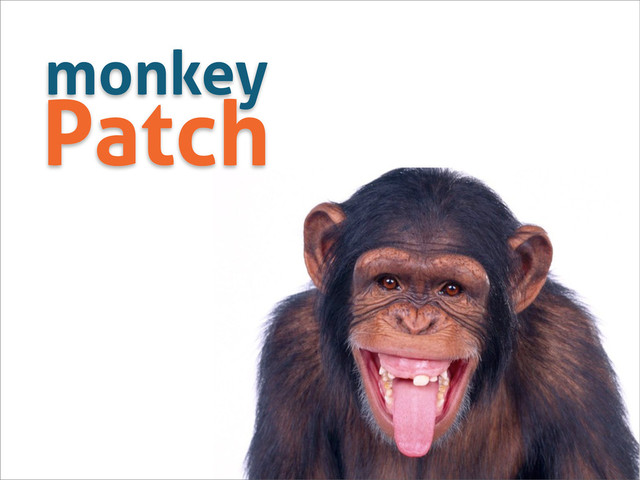monkey
Patch
