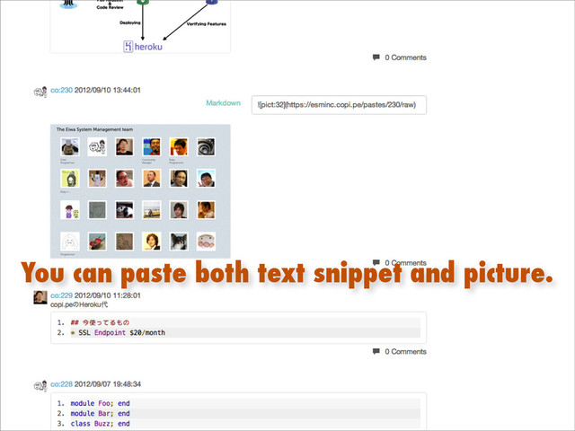 You can paste both text snippet and picture.

