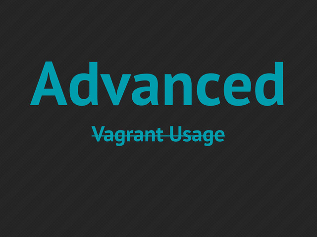 Advanced
Vagrant Usage

