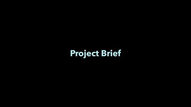 Project Brief
