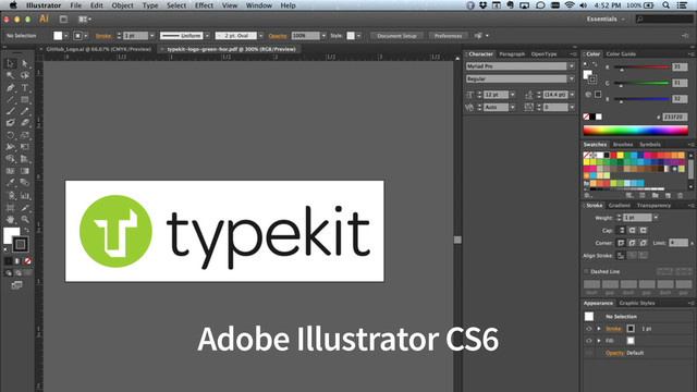 Adobe Illustrator CS6
