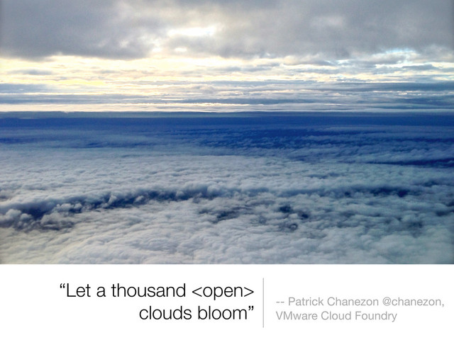 -- Patrick Chanezon @chanezon,
VMware Cloud Foundry
“Let a thousand 
clouds bloom”

