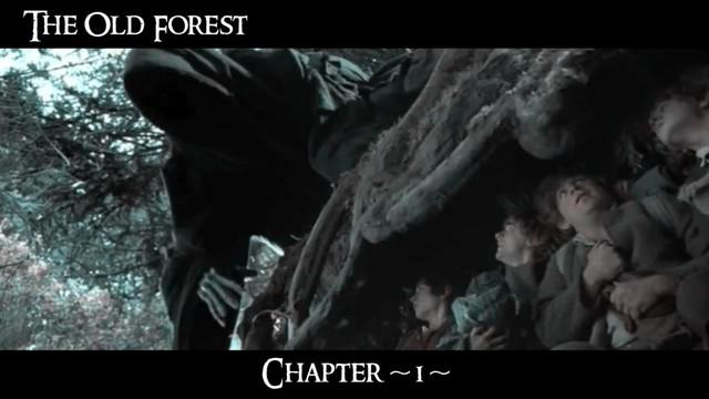 The Old Forest
Chapter ~1~
