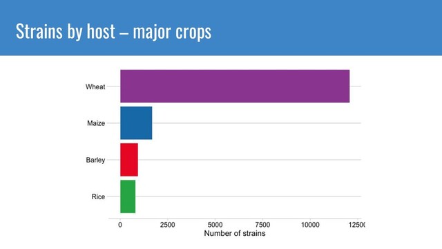 Strains by host – major crops
