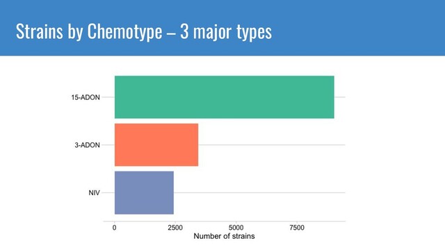 Strains by Chemotype – 3 major types

