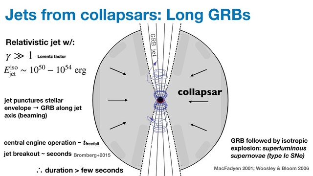 Jets from collapsars: Long GRBs
Ultrarelativistic magnetodynamic GRB jets 553
Figure 1. Cartoon of the large-scale structure of a GRB source (not to
scale). The major elements are a central engine which launches a polar
magnetically dominated ultrarelativistic jet, and a gaseous stellar envelope
(grey shading) which conﬁnes the jet. The central engine may be an accreting
rapidly rotating BH or a millisecond magnetar. For a failed supernova, there
could also be a disc wind which may additionally conﬁne the jet.
within the pre-supernova core (Aloy et al. 2000; Zhang et al. 2003;
Morsony, Lazzati & Begelman 2007; Wang, Abel & Zhang 2007).
These simulations show that the jet collimates and accelerates as
it pushes its way through the conﬁning stellar envelope, thus sug-
gesting that the envelope plays a crucial role in determining the
opening angle and Lorentz factor of the ﬂow that emerges from the
Figure 2. Idealized model studied in this paper. The thick solid lines in
the upper panel show an azimuthal cut through a compact star surrounded
by a razor-thin disc. The star and the disc are threaded by magnetic ﬁeld
lines, which are shown as thin solid lines. The magnetized plasma above
the star and the disc is assumed to be perfectly conducting and to have
an ultrahigh magnetization parameter. Arrows show the direction of the
poloidal electric current. The thick-dashed line indicates the ﬁeld line that
separates the jet from the disc wind. The disc wind provides pressure support
for the jet and plays the role of the gaseous stellar envelope in Fig. 1.
The degree of pressure support is adjusted by varying the magnetic ﬁeld
strength proﬁle in the disc. The lower panel shows the angular frequency
of rotation of ﬁeld lines as a function of the cylindrical radius of their foot-
points.
Ultrarelativistic magnetodynamic GRB jets 553
Figure 1. Cartoon of the large-scale structure of a GRB source (not to
scale). The major elements are a central engine which launches a polar
magnetically dominated ultrarelativistic jet, and a gaseous stellar envelope
(grey shading) which conﬁnes the jet. The central engine may be an accreting
rapidly rotating BH or a millisecond magnetar. For a failed supernova, there
could also be a disc wind which may additionally conﬁne the jet.
within the pre-supernova core (Aloy et al. 2000; Zhang et al. 2003;
Morsony, Lazzati & Begelman 2007; Wang, Abel & Zhang 2007).
These simulations show that the jet collimates and accelerates as
it pushes its way through the conﬁning stellar envelope, thus sug-
gesting that the envelope plays a crucial role in determining the
opening angle and Lorentz factor of the ﬂow that emerges from the
Figure 2. Idealized model studied in this paper. The thick solid lines in
the upper panel show an azimuthal cut through a compact star surrounded
by a razor-thin disc. The star and the disc are threaded by magnetic ﬁeld
lines, which are shown as thin solid lines. The magnetized plasma above
the star and the disc is assumed to be perfectly conducting and to have
an ultrahigh magnetization parameter. Arrows show the direction of the
poloidal electric current. The thick-dashed line indicates the ﬁeld line that
separates the jet from the disc wind. The disc wind provides pressure support
for the jet and plays the role of the gaseous stellar envelope in Fig. 1.
The degree of pressure support is adjusted by varying the magnetic ﬁeld
strength proﬁle in the disc. The lower panel shows the angular frequency
of rotation of ﬁeld lines as a function of the cylindrical radius of their foot-
points.
Figure 1. Cartoon of the large-scale structure of a GRB source (not to
scale). The major elements are a central engine which launches a polar
magnetically dominated ultrarelativistic jet, and a gaseous stellar envelope
(grey shading) which conﬁnes the jet. The central engine may be an accreting
rapidly rotating BH or a millisecond magnetar. For a failed supernova, there
could also be a disc wind which may additionally conﬁne the jet.
within the pre-supernova core (Aloy et al. 2000; Zhang et al. 2003;
Morsony, Lazzati & Begelman 2007; Wang, Abel & Zhang 2007).
These simulations show that the jet collimates and accelerates as
it pushes its way through the conﬁning stellar envelope, thus sug-
gesting that the envelope plays a crucial role in determining the
opening angle and Lorentz factor of the ﬂow that emerges from the
star. If the collapsar system forms an accreting BH, then the ultra-
relativistic jet may be accompanied by a moderately relativistic disc
wind that may provide additional collimation for the jet (McKinney
2005b,2006b). We note that the larger the radius of the progenitor
star and/or the denser the stellar envelope, the more energy is re-
quired for the jet to have to penetrate the stellar envelope and reach
Figure 2. Idealized model studied in this paper. The thick solid lines in
the upper panel show an azimuthal cut through a compact star surrounded
by a razor-thin disc. The star and the disc are threaded by magnetic ﬁeld
lines, which are shown as thin solid lines. The magnetized plasma above
the star and the disc is assumed to be perfectly conducting and to have
an ultrahigh magnetization parameter. Arrows show the direction of the
poloidal electric current. The thick-dashed line indicates the ﬁeld line that
separates the jet from the disc wind. The disc wind provides pressure support
for the jet and plays the role of the gaseous stellar envelope in Fig. 1.
The degree of pressure support is adjusted by varying the magnetic ﬁeld
strength proﬁle in the disc. The lower panel shows the angular frequency
of rotation of ﬁeld lines as a function of the cylindrical radius of their foot-
points.
parameter σ (Michel 1969; Goldreich & Julian 1970), we assume
σ → ∞. In this idealized model, the force-free disc wind plays
the role of the stellar envelope (plus any gaseous disc wind) that
collimates the jet in a real GRB (Fig. 1).
In the context of the collapsar picture, the ‘wind’ region of our
idealized model can be considered as a freely moving pressure
Figure 1. Cartoon of the large-scale structure of a GRB source (not to
scale). The major elements are a central engine which launches a polar
magnetically dominated ultrarelativistic jet, and a gaseous stellar envelope
(grey shading) which conﬁnes the jet. The central engine may be an accreting
rapidly rotating BH or a millisecond magnetar. For a failed supernova, there
could also be a disc wind which may additionally conﬁne the jet.
within the pre-supernova core (Aloy et al. 2000; Zhang et al. 2003;
Morsony, Lazzati & Begelman 2007; Wang, Abel & Zhang 2007).
These simulations show that the jet collimates and accelerates as
it pushes its way through the conﬁning stellar envelope, thus sug-
gesting that the envelope plays a crucial role in determining the
opening angle and Lorentz factor of the ﬂow that emerges from the
star. If the collapsar system forms an accreting BH, then the ultra-
relativistic jet may be accompanied by a moderately relativistic disc
wind that may provide additional collimation for the jet (McKinney
2005b,2006b). We note that the larger the radius of the progenitor
star and/or the denser the stellar envelope, the more energy is re-
quired for the jet to have to penetrate the stellar envelope and reach
Figure 2. Idealized model studied in this paper. The thick solid lines in
the upper panel show an azimuthal cut through a compact star surrounded
by a razor-thin disc. The star and the disc are threaded by magnetic ﬁeld
lines, which are shown as thin solid lines. The magnetized plasma above
the star and the disc is assumed to be perfectly conducting and to have
an ultrahigh magnetization parameter. Arrows show the direction of the
poloidal electric current. The thick-dashed line indicates the ﬁeld line that
separates the jet from the disc wind. The disc wind provides pressure support
for the jet and plays the role of the gaseous stellar envelope in Fig. 1.
The degree of pressure support is adjusted by varying the magnetic ﬁeld
strength proﬁle in the disc. The lower panel shows the angular frequency
of rotation of ﬁeld lines as a function of the cylindrical radius of their foot-
points.
parameter σ (Michel 1969; Goldreich & Julian 1970), we assume
σ → ∞. In this idealized model, the force-free disc wind plays
the role of the stellar envelope (plus any gaseous disc wind) that
collimates the jet in a real GRB (Fig. 1).
In the context of the collapsar picture, the ‘wind’ region of our
idealized model can be considered as a freely moving pressure
collapsar
jet punctures stellar
envelope → GRB along jet
axis (beaming)
GRB followed by isotropic
explosion: superluminous
supernovae (type Ic SNe)
Lorentz factor
MacFadyen 2001; Woosley & Bloom 2006
γ ≫ 1
Eiso
jet
∼ 1050 − 1054 erg
Relativistic jet w/:
central engine operation ~ tfreefall
jet breakout ~ seconds Bromberg+2015
∴ duration > few seconds
