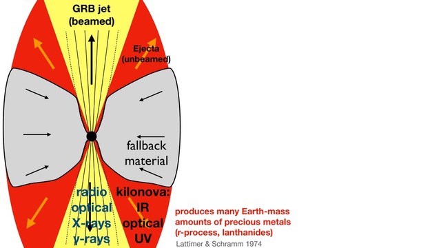 fallback
material
GRB jet
(beamed)
Lattimer & Schramm 1974 

produces many Earth-mass
amounts of precious metals
(r-process, lanthanides)
Ejecta
(unbeamed)
radio
optical
X-rays
γ-rays
kilonova:
IR
optical
UV

