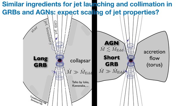 Ultrarelativistic magnetodynamic GRB jets 553
Figure 1. Cartoon of the large-scale structure of a GRB source (not to
scale). The major elements are a central engine which launches a polar
magnetically dominated ultrarelativistic jet, and a gaseous stellar envelope
(grey shading) which conﬁnes the jet. The central engine may be an accreting
rapidly rotating BH or a millisecond magnetar. For a failed supernova, there
could also be a disc wind which may additionally conﬁne the jet.
within the pre-supernova core (Aloy et al. 2000; Zhang et al. 2003;
Morsony, Lazzati & Begelman 2007; Wang, Abel & Zhang 2007).
These simulations show that the jet collimates and accelerates as
it pushes its way through the conﬁning stellar envelope, thus sug-
gesting that the envelope plays a crucial role in determining the
opening angle and Lorentz factor of the ﬂow that emerges from the
Figure 2. Idealized model studied in this paper. The thick solid lines in
the upper panel show an azimuthal cut through a compact star surrounded
by a razor-thin disc. The star and the disc are threaded by magnetic ﬁeld
lines, which are shown as thin solid lines. The magnetized plasma above
the star and the disc is assumed to be perfectly conducting and to have
an ultrahigh magnetization parameter. Arrows show the direction of the
poloidal electric current. The thick-dashed line indicates the ﬁeld line that
separates the jet from the disc wind. The disc wind provides pressure support
for the jet and plays the role of the gaseous stellar envelope in Fig. 1.
The degree of pressure support is adjusted by varying the magnetic ﬁeld
strength proﬁle in the disc. The lower panel shows the angular frequency
of rotation of ﬁeld lines as a function of the cylindrical radius of their foot-
points.
Ultrarelativistic magnetodynamic G
Figure 1. Cartoon of the large-scale structure of a GRB source (not to
scale). The major elements are a central engine which launches a polar
magnetically dominated ultrarelativistic jet, and a gaseous stellar envelope
(grey shading) which conﬁnes the jet. The central engine may be an accreting
rapidly rotating BH or a millisecond magnetar. For a failed supernova, there
could also be a disc wind which may additionally conﬁne the jet.
within the pre-supernova core (Aloy et al. 2000; Zhang et al. 2003;
Morsony, Lazzati & Begelman 2007; Wang, Abel & Zhang 2007).
These simulations show that the jet collimates and accelerates as
it pushes its way through the conﬁning stellar envelope, thus sug-
gesting that the envelope plays a crucial role in determining the
opening angle and Lorentz factor of the ﬂow that emerges from the
Figure 2. Idealized model studied in this paper. Th
the upper panel show an azimuthal cut through a co
by a razor-thin disc. The star and the disc are thread
lines, which are shown as thin solid lines. The mag
the star and the disc is assumed to be perfectly co
an ultrahigh magnetization parameter. Arrows show
poloidal electric current. The thick-dashed line indic
separates the jet from the disc wind. The disc wind pro
for the jet and plays the role of the gaseous stellar
The degree of pressure support is adjusted by varyi
strength proﬁle in the disc. The lower panel shows t
of rotation of ﬁeld lines as a function of the cylindrica
points.
Figure 1. Cartoon of the large-scale structure of a GRB source (not to
scale). The major elements are a central engine which launches a polar
magnetically dominated ultrarelativistic jet, and a gaseous stellar envelope
(grey shading) which conﬁnes the jet. The central engine may be an accreting
rapidly rotating BH or a millisecond magnetar. For a failed supernova, there
could also be a disc wind which may additionally conﬁne the jet.
within the pre-supernova core (Aloy et al. 2000; Zhang et al. 2003;
Morsony, Lazzati & Begelman 2007; Wang, Abel & Zhang 2007).
These simulations show that the jet collimates and accelerates as
it pushes its way through the conﬁning stellar envelope, thus sug-
gesting that the envelope plays a crucial role in determining the
opening angle and Lorentz factor of the ﬂow that emerges from the
star. If the collapsar system forms an accreting BH, then the ultra-
relativistic jet may be accompanied by a moderately relativistic disc
wind that may provide additional collimation for the jet (McKinney
2005b,2006b). We note that the larger the radius of the progenitor
star and/or the denser the stellar envelope, the more energy is re-
quired for the jet to have to penetrate the stellar envelope and reach
Figure 2. Idealized model studied in this paper. Th
the upper panel show an azimuthal cut through a co
by a razor-thin disc. The star and the disc are thread
lines, which are shown as thin solid lines. The mag
the star and the disc is assumed to be perfectly co
an ultrahigh magnetization parameter. Arrows show
poloidal electric current. The thick-dashed line indic
separates the jet from the disc wind. The disc wind pro
for the jet and plays the role of the gaseous stellar
The degree of pressure support is adjusted by varyi
strength proﬁle in the disc. The lower panel shows t
of rotation of ﬁeld lines as a function of the cylindrica
points.
parameter σ (Michel 1969; Goldreich & Julian
σ → ∞. In this idealized model, the force-fr
the role of the stellar envelope (plus any gase
collimates the jet in a real GRB (Fig. 1).
In the context of the collapsar picture, the ‘
idealized model can be considered as a freel
Figure 1. Cartoon of the large-scale structure of a GRB source (not to
scale). The major elements are a central engine which launches a polar
magnetically dominated ultrarelativistic jet, and a gaseous stellar envelope
(grey shading) which conﬁnes the jet. The central engine may be an accreting
rapidly rotating BH or a millisecond magnetar. For a failed supernova, there
could also be a disc wind which may additionally conﬁne the jet.
within the pre-supernova core (Aloy et al. 2000; Zhang et al. 2003;
Morsony, Lazzati & Begelman 2007; Wang, Abel & Zhang 2007).
These simulations show that the jet collimates and accelerates as
it pushes its way through the conﬁning stellar envelope, thus sug-
gesting that the envelope plays a crucial role in determining the
opening angle and Lorentz factor of the ﬂow that emerges from the
star. If the collapsar system forms an accreting BH, then the ultra-
relativistic jet may be accompanied by a moderately relativistic disc
wind that may provide additional collimation for the jet (McKinney
2005b,2006b). We note that the larger the radius of the progenitor
star and/or the denser the stellar envelope, the more energy is re-
quired for the jet to have to penetrate the stellar envelope and reach
Figure 2. Idealized model studied in this paper. The thick solid lines in
the upper panel show an azimuthal cut through a compact star surrounded
by a razor-thin disc. The star and the disc are threaded by magnetic ﬁeld
lines, which are shown as thin solid lines. The magnetized plasma above
the star and the disc is assumed to be perfectly conducting and to have
an ultrahigh magnetization parameter. Arrows show the direction of the
poloidal electric current. The thick-dashed line indicates the ﬁeld line that
separates the jet from the disc wind. The disc wind provides pressure support
for the jet and plays the role of the gaseous stellar envelope in Fig. 1.
The degree of pressure support is adjusted by varying the magnetic ﬁeld
strength proﬁle in the disc. The lower panel shows the angular frequency
of rotation of ﬁeld lines as a function of the cylindrical radius of their foot-
points.
parameter σ (Michel 1969; Goldreich & Julian 1970), we assume
σ → ∞. In this idealized model, the force-free disc wind plays
the role of the stellar envelope (plus any gaseous disc wind) that
collimates the jet in a real GRB (Fig. 1).
In the context of the collapsar picture, the ‘wind’ region of our
idealized model can be considered as a freely moving pressure
Long
GRB
Tchekhovskoy+08
AGN
Similar ingredients for jet launching and collimation in
GRBs and AGNs: expect scaling of jet properties?
accretion
ﬂow
(torus)
collapsar
˙
M . ˙
MEdd
˙
M ˙
MEdd
Semenov+04
Talks by Ioka,
Kawanaka, ...
˙
M ˙
MEdd
Short
GRB
