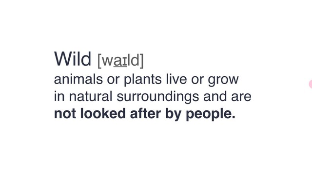 Wild [waɪld] 
animals or plants live or grow
in natural surroundings and are
not looked after by people.

