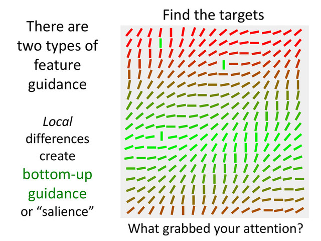 There are
two types of
feature
guidance
Local
differences
create
bottom-up
guidance
or “salience”
Find the targets
What grabbed your attention?
