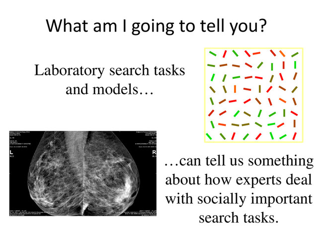 What am I going to tell you?
Laboratory search tasks
and models…
…can tell us something
about how experts deal
with socially important
search tasks.
