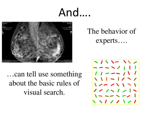 And….
The behavior of
experts….
…can tell use something
about the basic rules of
visual search.
