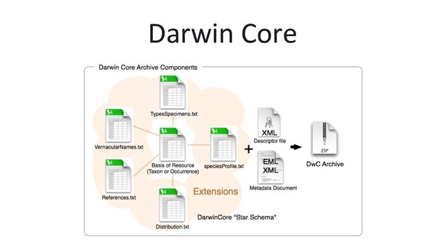 Darwin Core
