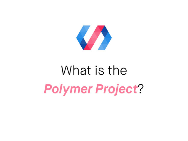 What is the
Polymer Project?
