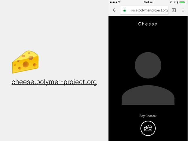 cheese.polymer-project.org
