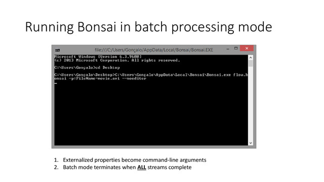 Running Bonsai in batch processing mode
1. Externalized properties become command-line arguments
2. Batch mode terminates when ALL streams complete
